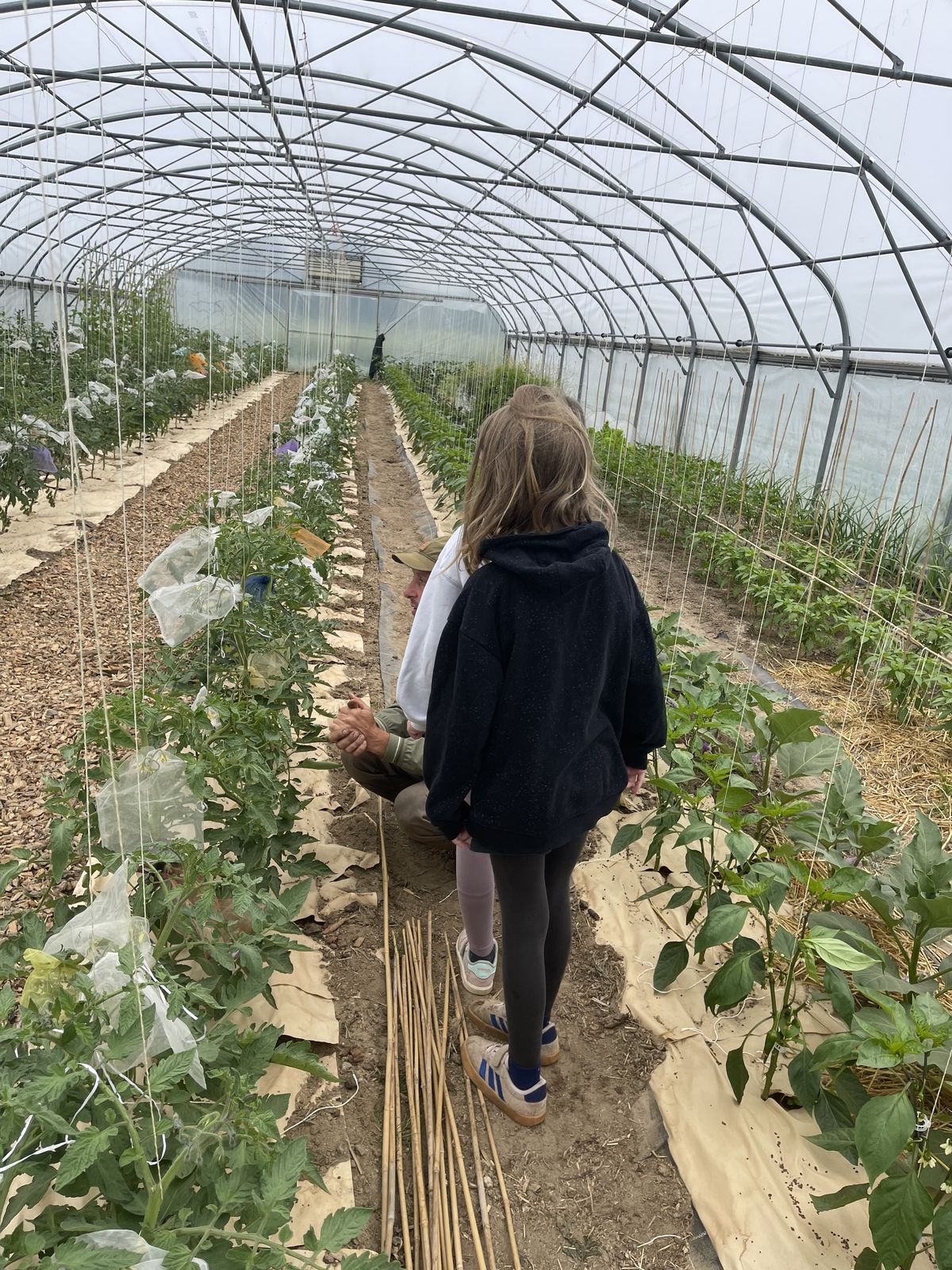 Blumenkübel und Weinstöcke im Garten des TILL