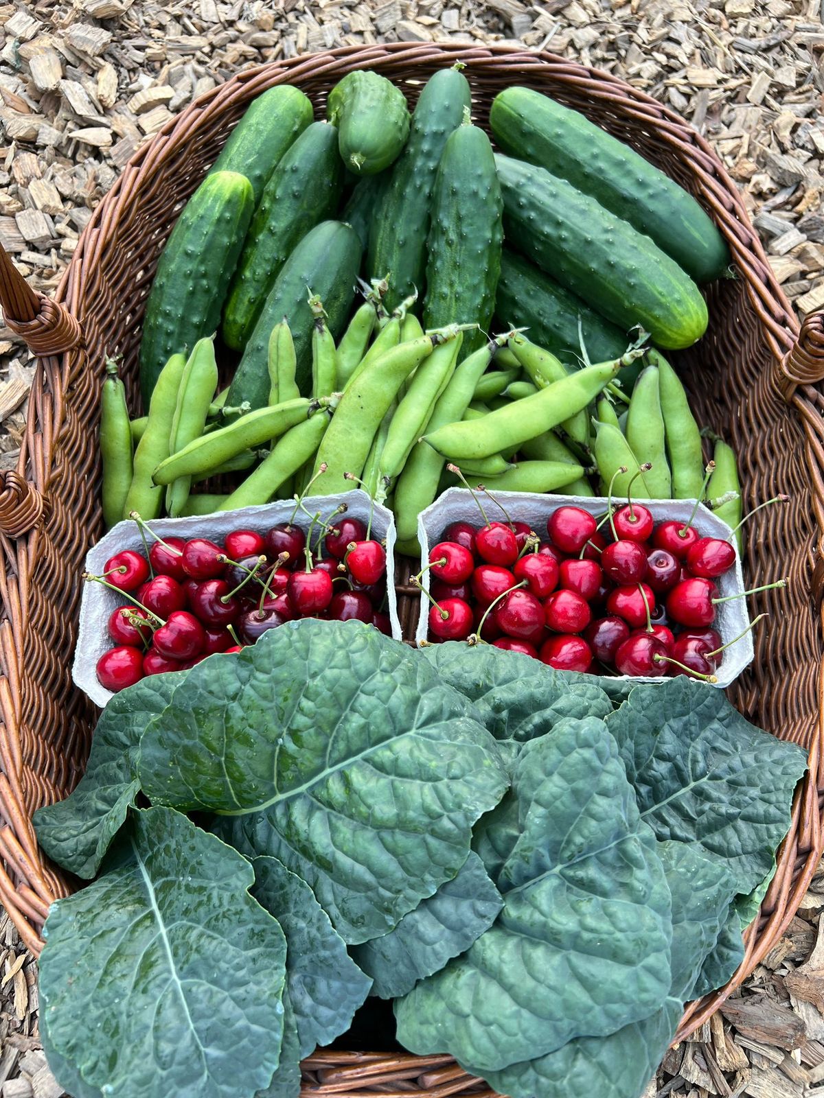 Kiste mit Gurken, Bohnen und Tomaten