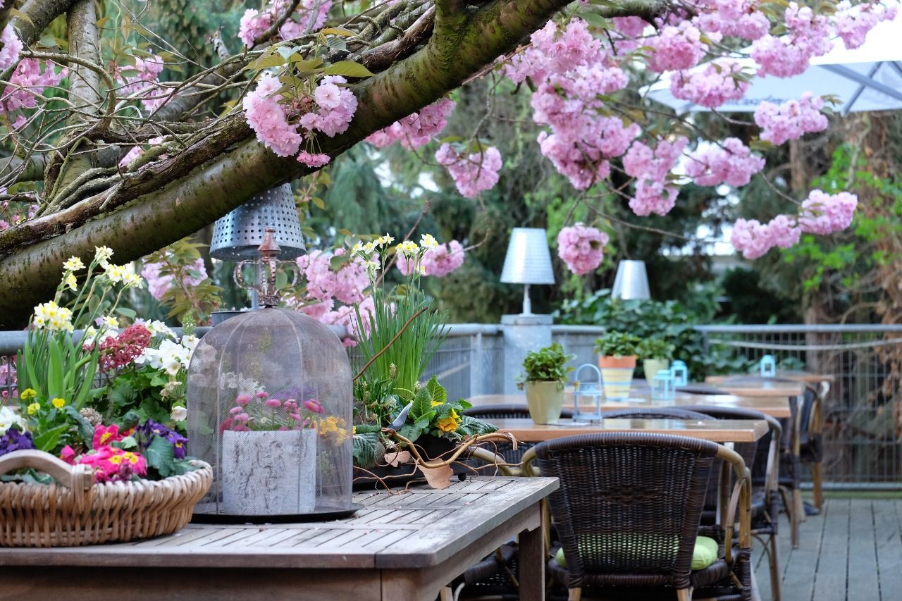 Gedeckter Tisch auf der Terrasse unter blühenden Bäumen